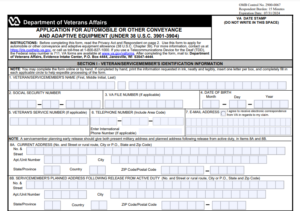 VA Form 21-4502 Printable, Fillable in PDF