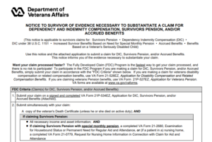 VA Form 21P-534EZ Printable, Fillable in PDF