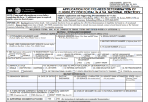 VA Form 40-10007 Printable, Fillable in PDF