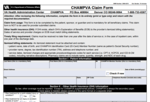 VA Form 10-7959A Printable, Fillable in PDF