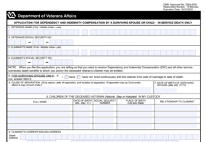 VA Form 21-534A Printable, Fillable in PDF