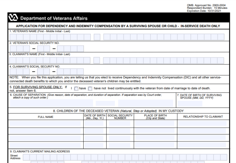 VA Form 21 534ez Printable VA Form