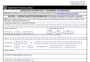 VA Form 29-336 Printable, Fillable in PDF