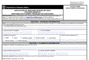 VA Form 21P-8924 Printable, Fillable in PDF