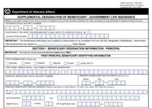 VA Form 29-336a Printable, Fillable in PDF
