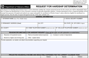 VA Form 10-10HS Printable, Fillable in PDF