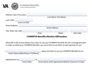 VA Form 10-493b Printable, Fillable in PDF